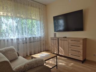 Apartment Near Border Crossing and Narva College - 0