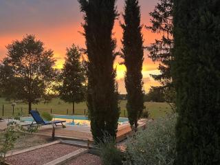 le Bosc de castang - Pressignac - 9