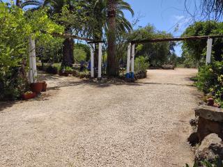 Quinta do Paraiso - São Teotónio - 8