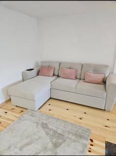 Studio apartment Milev - Mokra Gora - 2