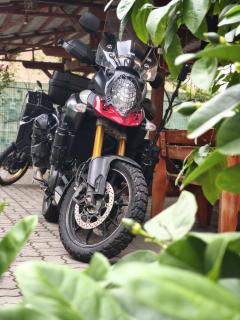 Pensiunea Buon Gusto Sibiu-motorcyle friendly,city center - Sibiu - 0