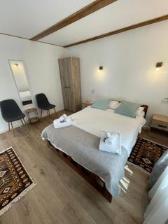 Casa Vonvea - Ocna Şugatag - 0
