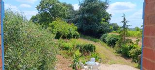 Les Figuiers Bleus - 3