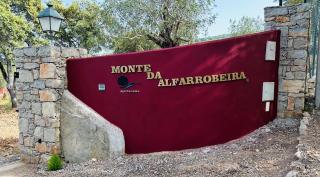 Villa Monte da Alfarrobeira - Estói - 3
