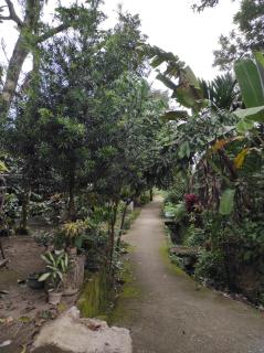 Linda Homestay - Praya - 6