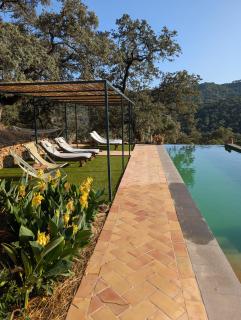 Finca Bravo - Cortegana - 8