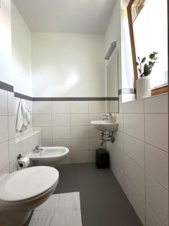 Ferienwohnung Earthloft - Bad Kleinkirchheim - 5