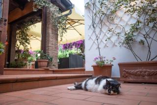 B&b Rosaria sea view - 5