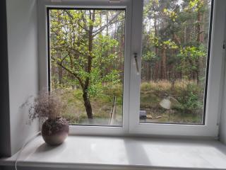 Homey apartment facing a pine forest - 3