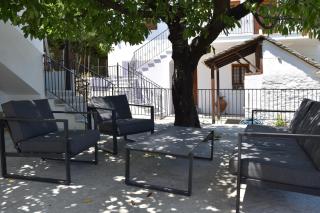 Dendrokipos - Mouresi - 3