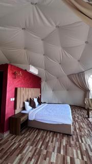 environment wadi rum - 1