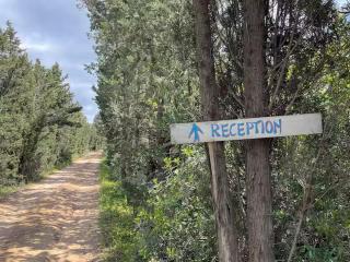 Glamping Olive Tent In Our Garden Sardinia - 8