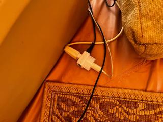 Glamping Olive Tent In Our Garden Sardinia - 2