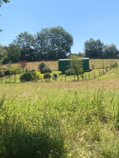 Shepherds Hut (Benny's) - Cullompton - 8