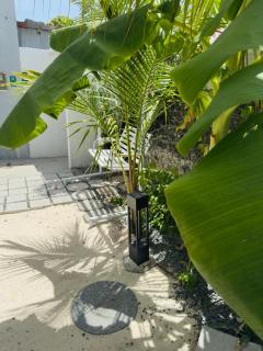 Avi Cabana - Himmafushi - 7