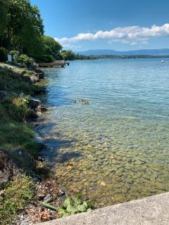 Les bord du Lac Leman - Sciez - 3