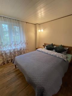 More Holiday Pine House - Bigauņciems - 3