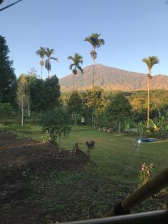 Sajang Valley Estate - Sajang - 8