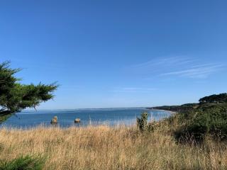 Ty Bihan Breizh - Pénestin - 1