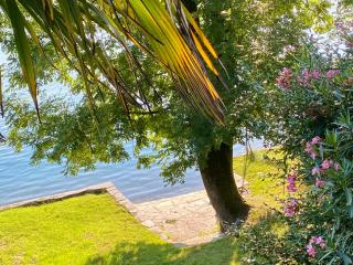 Palazzo dei Leoni - 8