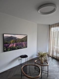 Palangos AŠIES apartamentai - Palanga - 4