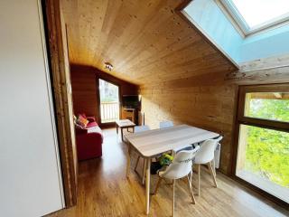 Appt T2 pied des pistes - Hauteluce - 1