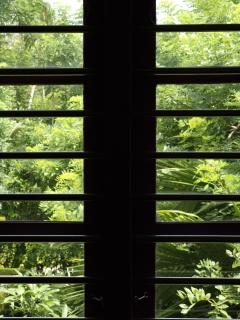 Marari Anns Casa Beach Homestay - 5