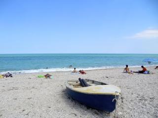 Pineta blu - Porto SantʼElpidio - 1