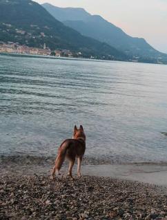 La Casa di Perla BILOCALE A 6 Kilometri da SALO' - Villanuova sul clisi - 6