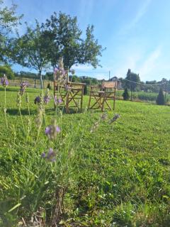 Kuća za odmor Jutro - Kremna - 9