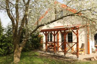 Domek w sadzie - apartamenty - 9