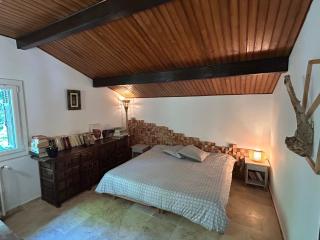 Chalet Airaudi - Saint-Martin-Vésubie - 5