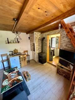 2 Cottage Home-Vacation Houses in Slatina full experience - Slatina - 9