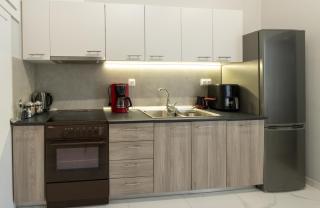 Tilia - 7