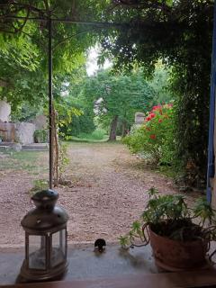 Mas la Buissone - Visan - 1