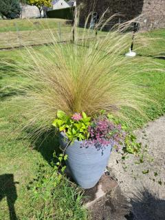 LA FOLLE PARENTHESE - 2