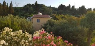 Thaleia Studios & Apartments - Kavos - 5