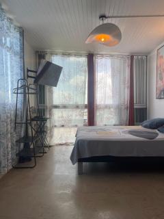 PENTHOUSE SEASIDE 10 MIN port, croisière et aéroport - Pointe-à-Pitre - 5