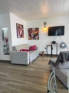PENTHOUSE 10 MIN port croisière et aéroport - Pointe-à-Pitre - 9
