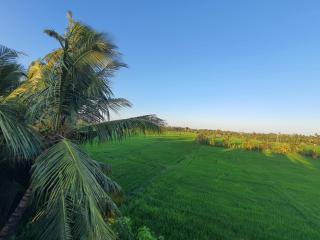 Villa Emerald & YALA safari - 7