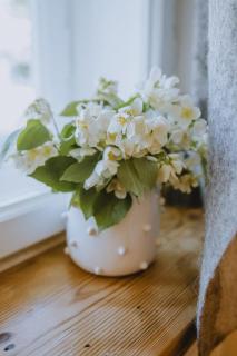 Old Believers Apartment - 3