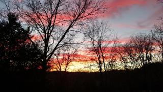 Whispering Pines in the Country on 40 Acres - Hartville - 1
