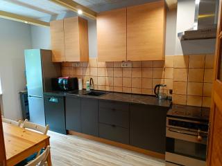 Apartament z ogródkiem i miejscem do grillowania - Danzig - 0