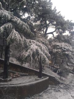 naturel life - 1