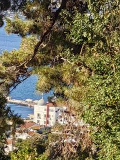 naturel life - Estambul - 4