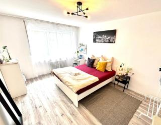 Helle und große Wohnung mit Balkon in Nürnberg - Norimberga - 9