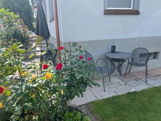 Rheinblick Ferienwohnung - 7