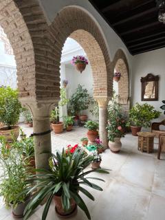 El patio de Regina - Córdoba - 0