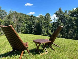 Mountain Top Mansion + Pet Friendly + Sleeps 24 + Asheville + Blue Ridge Parkway - 5