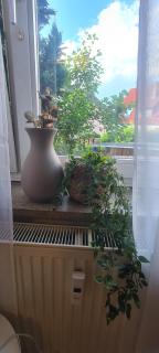 Merci Sweet Home - Niestetal - 7